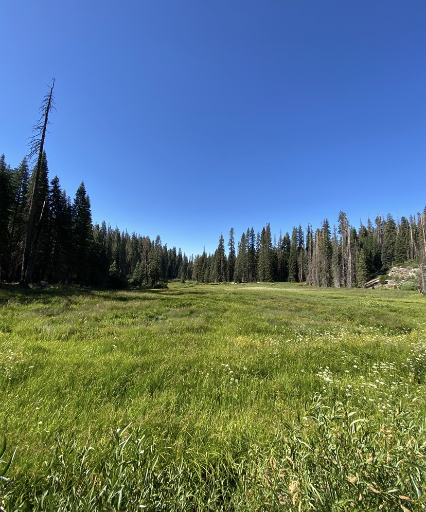 The Write Path For Me