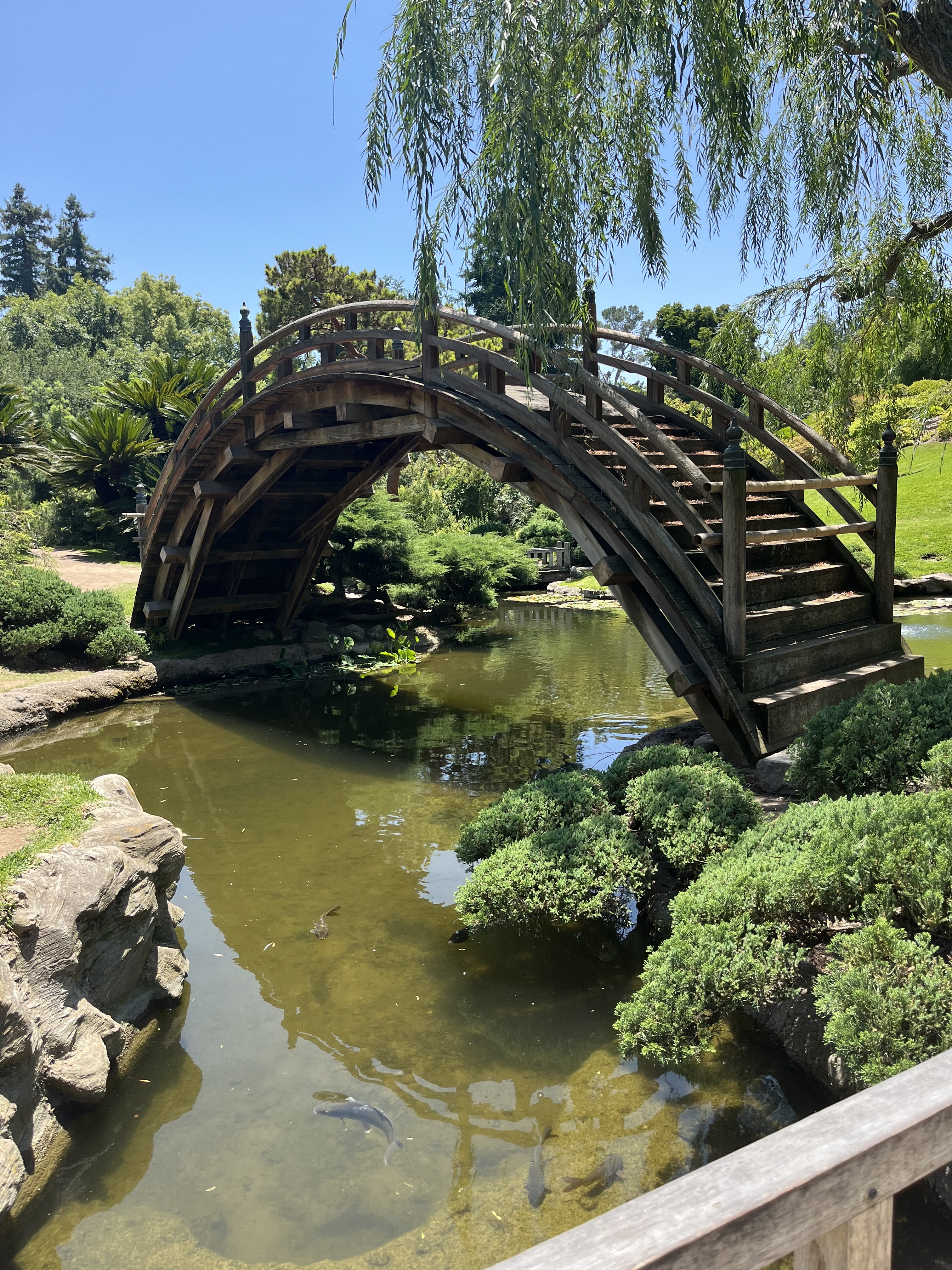 “Write from the Heart” and other poems